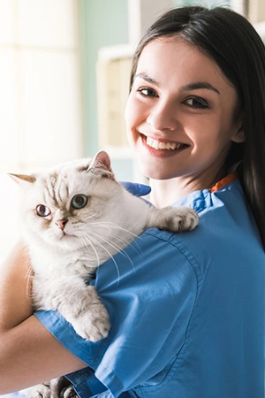 vet-and-cat